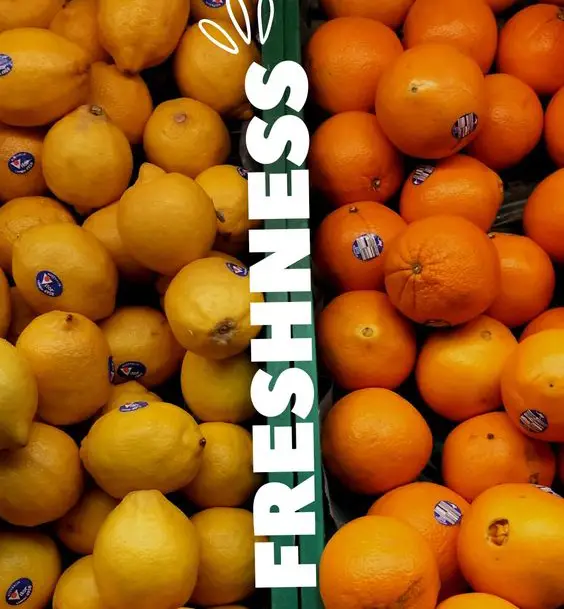 Fresh Market Delights at Papa’s Deli – Our Venue Papas Deli bali